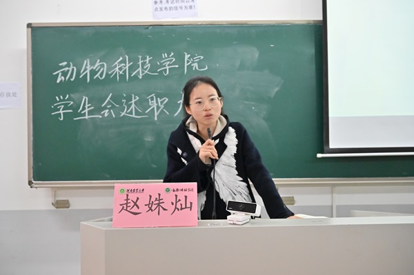 投注平台