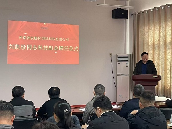 投注平台