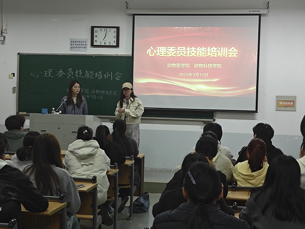 投注平台