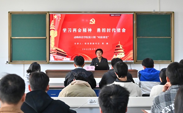 投注平台