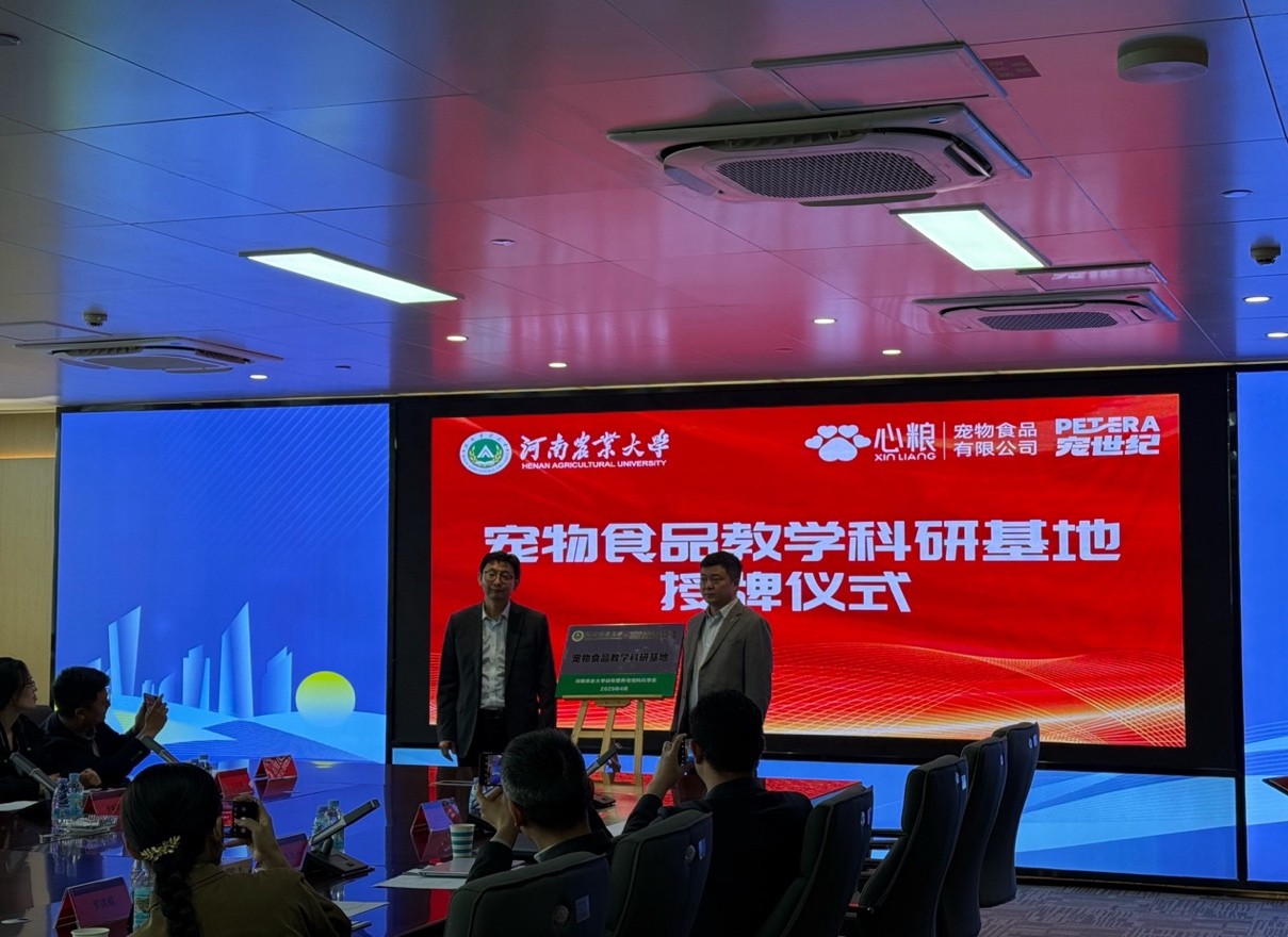 投注平台