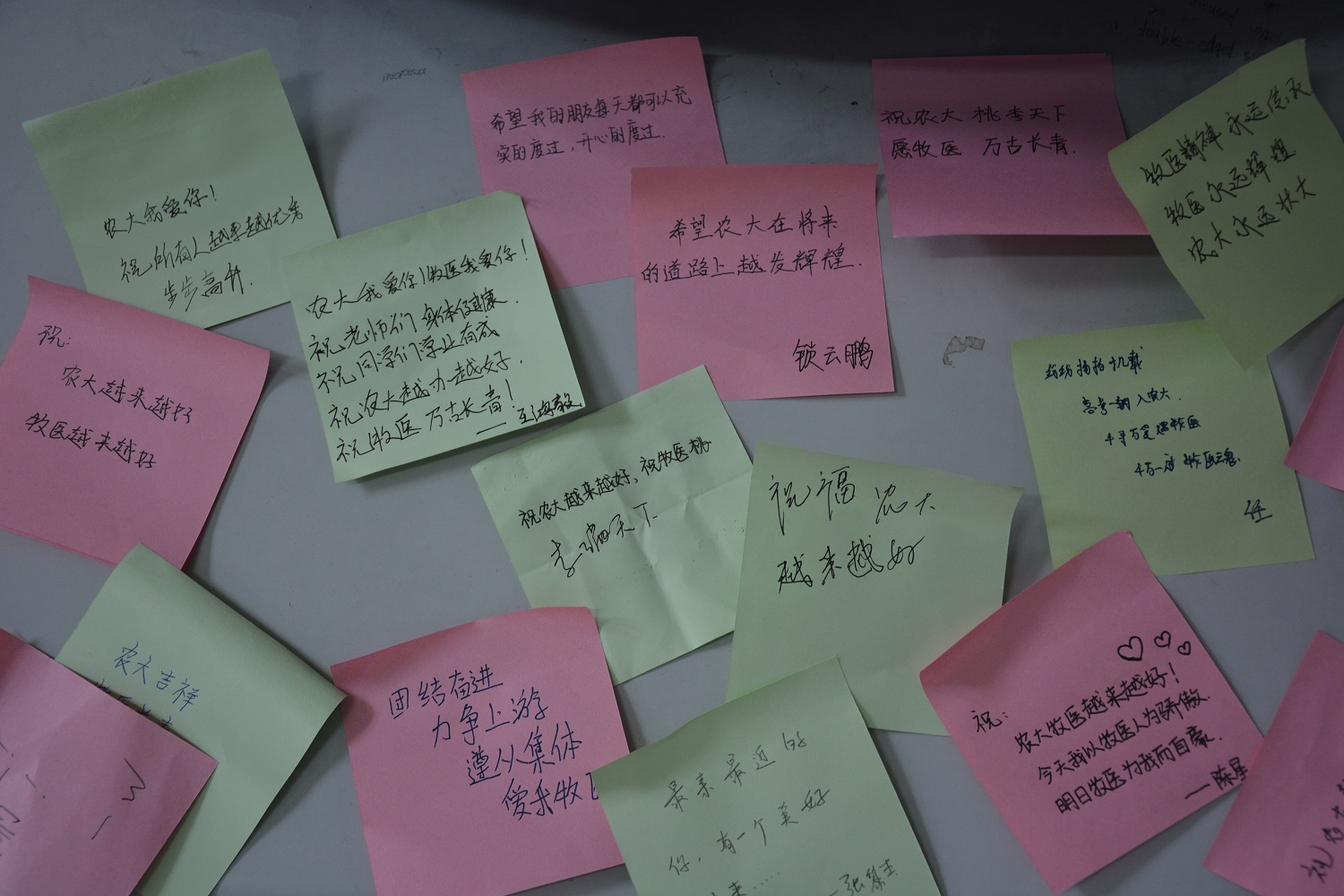 投注平台