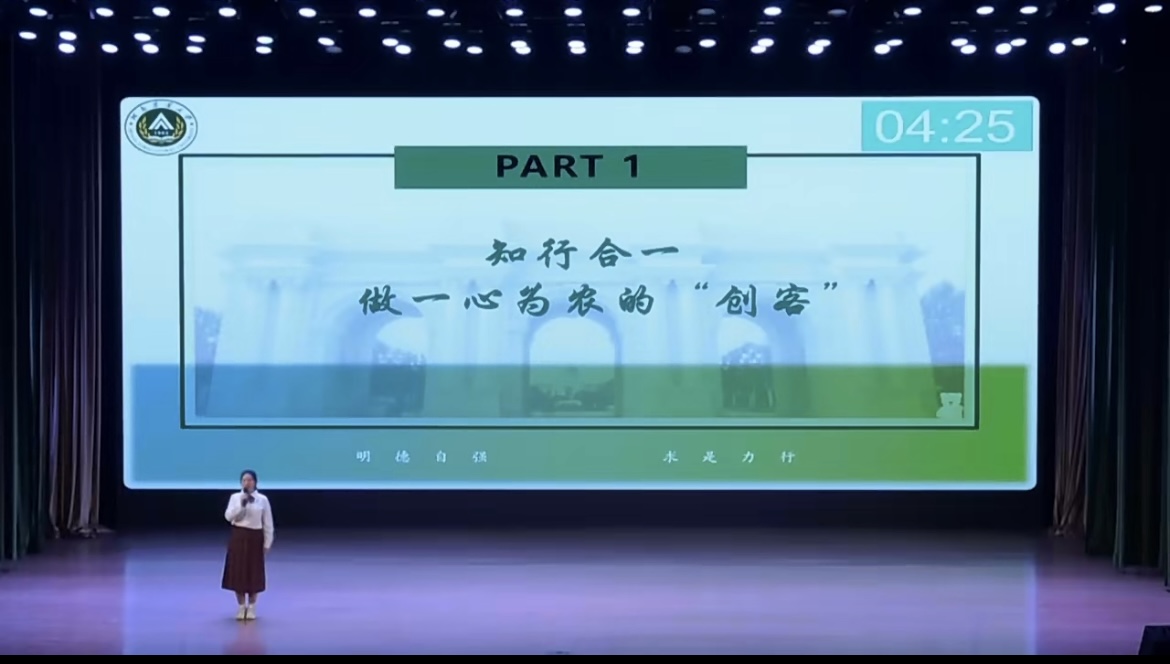 投注平台