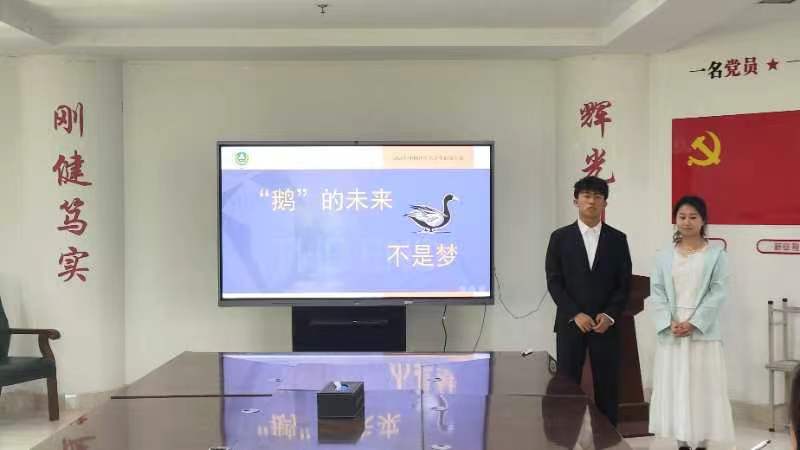 投注平台