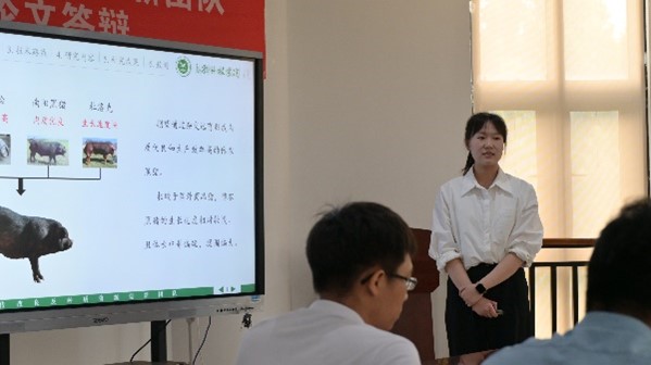 投注平台