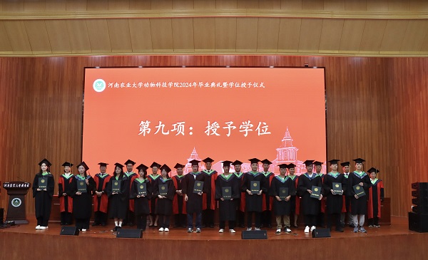 投注平台