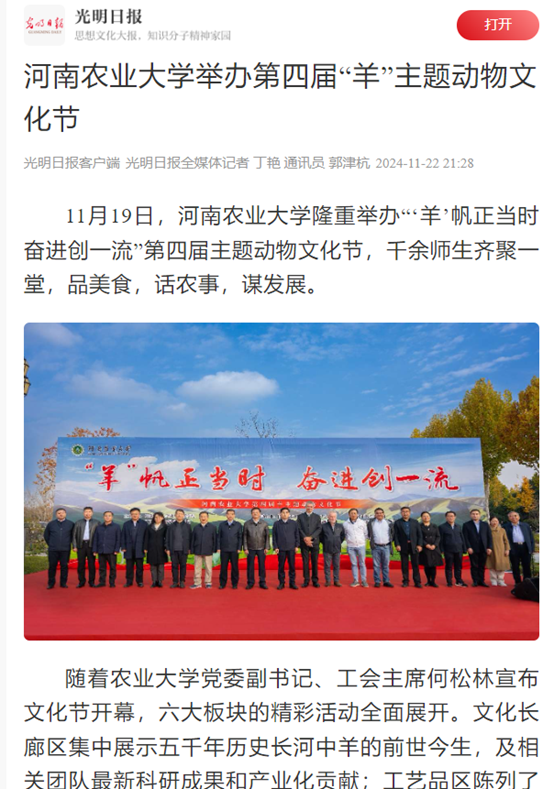投注平台