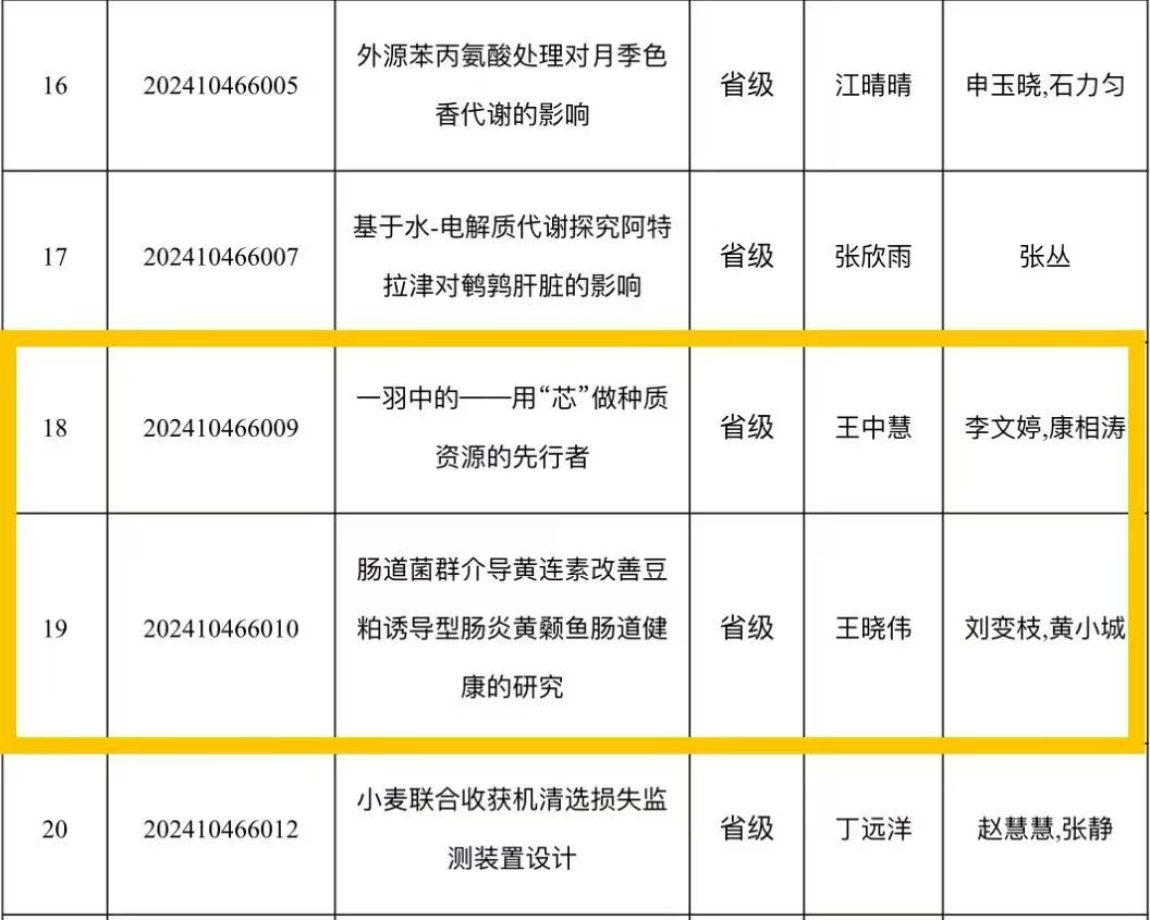 投注平台