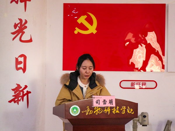 投注平台