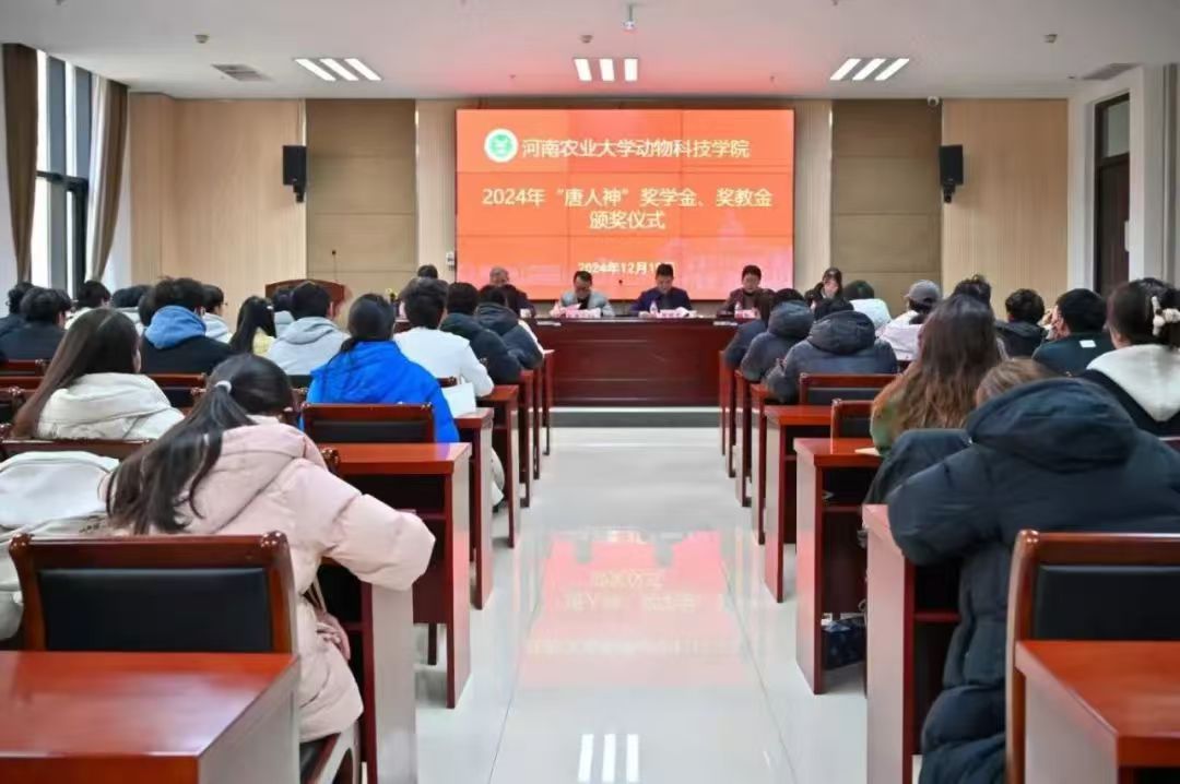 投注平台